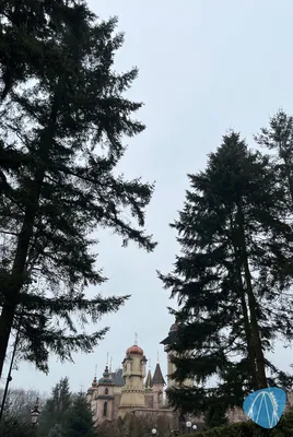 Foto aus Efteling von Coaster Enthousiaste