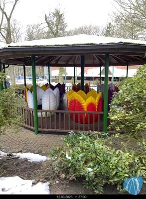 Foto aus Tier- und Freizeitpark Thüle von MaKaBa