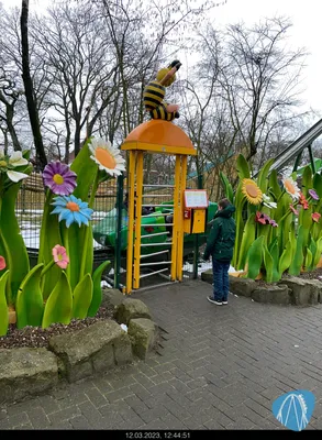 Foto aus Tier- und Freizeitpark Thüle von MaKaBa