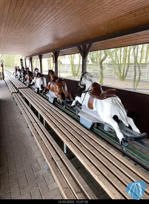 Foto aus Tier- und Freizeitpark Thüle von MaKaBa