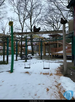 Foto aus Tier- und Freizeitpark Thüle von MaKaBa