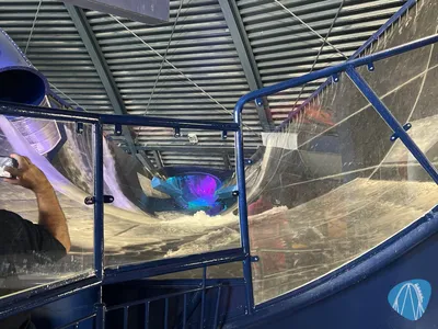 Foto aus Therme Erding von Mikesch8764