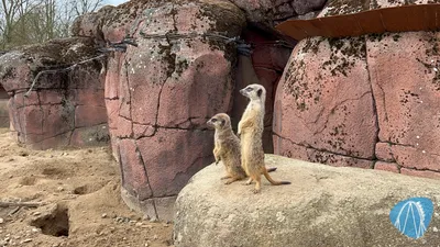 Foto aus GaiaZoo von Highnoon