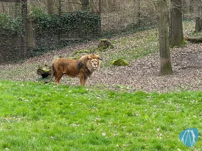 Foto aus GaiaZoo von Highnoon