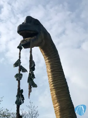 Foto aus Plopsaland Deutschland von Red Bull