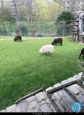Foto aus Jardin d'Acclimatation von MaKaBa