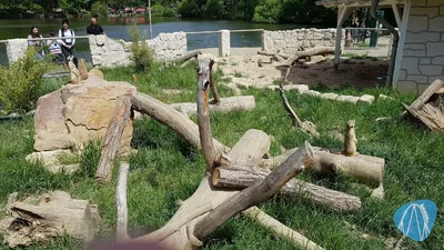 Foto aus Tierpark Rheinböllen von leod1982
