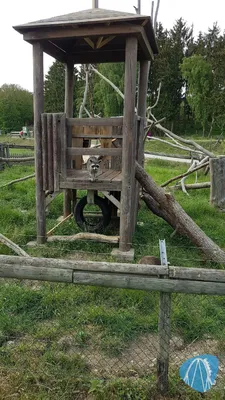 Foto aus Tierpark Rheinböllen von leod1982