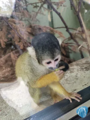 Foto aus Zoo Vivarium von leod1982