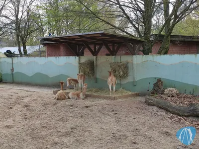 Foto aus Zoo Vivarium von leod1982
