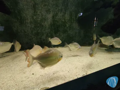 Foto aus Zoo Vivarium von leod1982