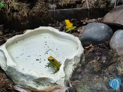 Foto aus Zoo Vivarium von leod1982