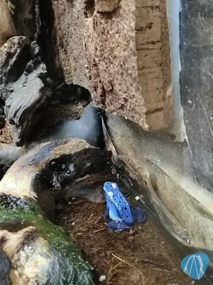 Foto aus Zoo Vivarium von leod1982