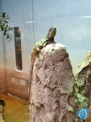 Foto aus Zoo Vivarium von leod1982