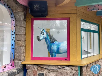 Foto aus Magic Park Verden von stoppel
