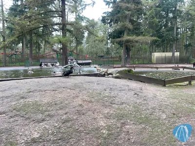 Foto aus Magic Park Verden von MaKaBa