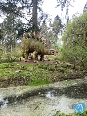 Foto aus Magic Park Verden von MaKaBa