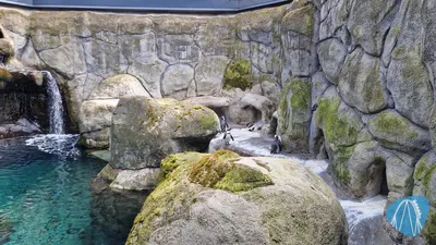 Foto aus Aquazoo Löbbecke Museum von coaster_Markus