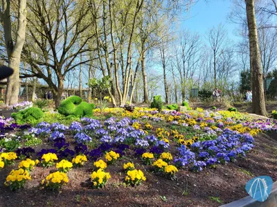 Foto aus HANSA-PARK von Ostseegirl