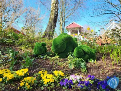 Foto aus HANSA-PARK von Ostseegirl