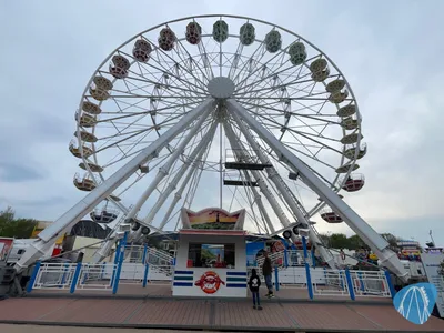 Foto aus Leipziger Frühjahrs-Kleinmesse von stoppel