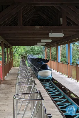 Foto aus Boudewijn Seapark von Ragvald