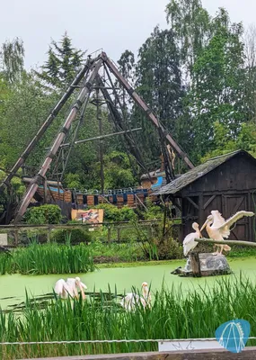 Foto aus Boudewijn Seapark von Ragvald