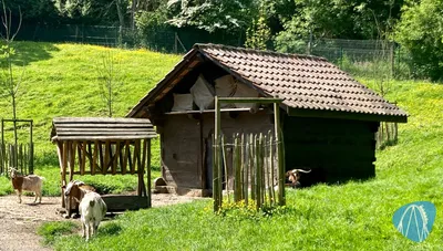 Foto aus Plopsaland Ardennes von LaLaFun
