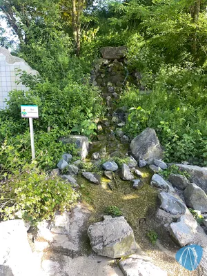 Photo from BillyBird Park Hemelrijk by MaKaBa