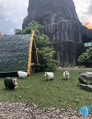 Foto aus Heide Park von Diddy