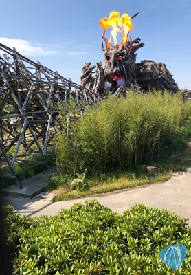 Foto aus Heide Park von Diddy