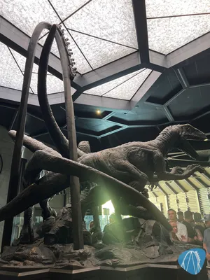 Foto aus Universal's Island of Adventure von Coaster Enthousiaste