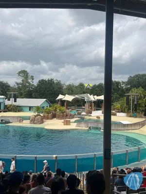 Foto aus Seaworld Orlando von Coaster Enthousiaste