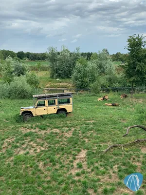 Foto aus ZooParc Overloon von Annika