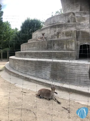 Foto aus Zoo Aquarium de Madrid von Jubei1982