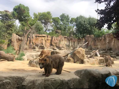 Foto aus Zoo Aquarium de Madrid von Jubei1982