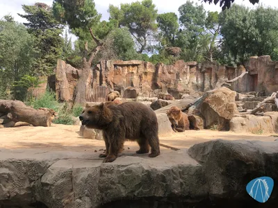 Foto aus Zoo Aquarium de Madrid von Jubei1982