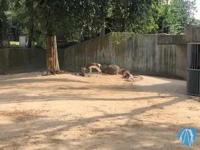 Foto aus Zoo Aquarium de Madrid von Jubei1982
