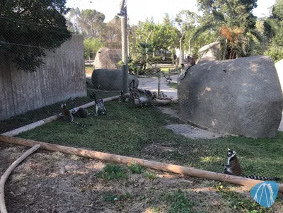 Foto aus Zoo Aquarium de Madrid von Jubei1982