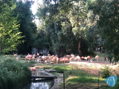Foto aus Zoo Aquarium de Madrid von Jubei1982