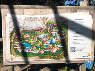 Foto aus Faunia von Jubei1982
