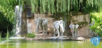 Foto aus Nigloland von ViernheimerBub