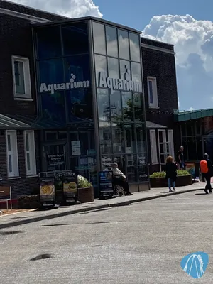 Foto aus Aquarium Wilhelmshaven von Chrissy
