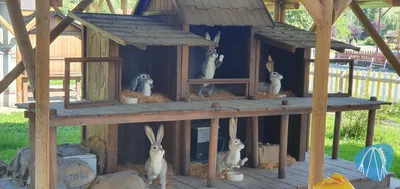 Foto aus Didiland Parc D'Attractions von ViernheimerBub