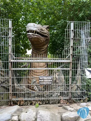 Foto aus Rasti-Land von stoppel