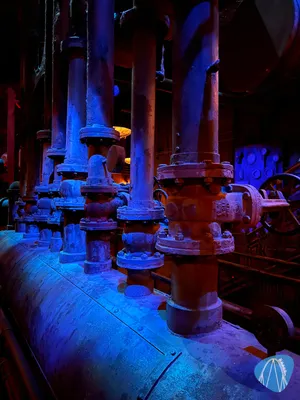 Foto aus Disney Adventure World von Marco