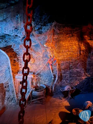 Foto aus Disney Adventure World von Marco