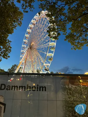 Foto aus Landauer Herbstmarkt mit Weindorf von Freizeit_Parkfan