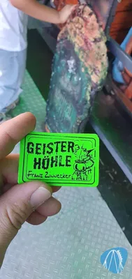 Foto aus Mannheimer Maimess von ViernheimerBub