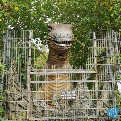 Foto aus Rasti-Land von Soeren92